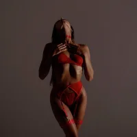 Gambar Profil Brocards