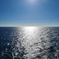 Wild-Fantasy Poză avatar