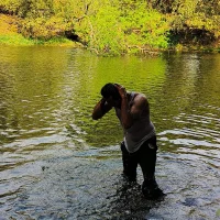 Foto do perfil de Trade010