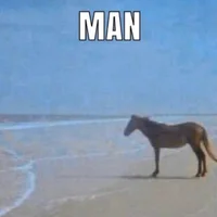 Shitass6954: εικόνα άβαταρ