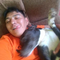 Noel_Zeledon's Profile Pic