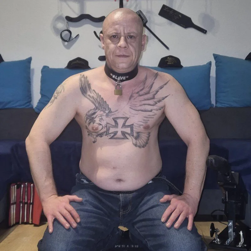 Sklave-Sille Stripchat profile image