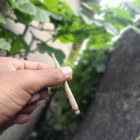 sscria's Profile Pic