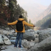 sushilmehra54s profilbillede
