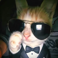 MeGustanGaminas' Avatar Pic