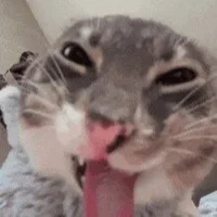 Аватар Jonpon1