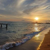 صورة أفاتار curiously-bi37