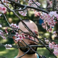 Imagem de avatar de MatheusPimenta666