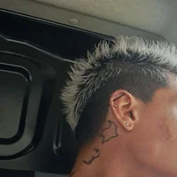 pedro14ARhs profilbillede