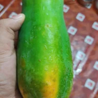 Immagine del profilo di Bijaykch