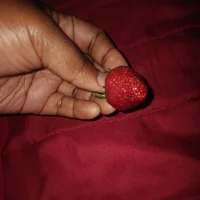 zimkile's Profile Pic