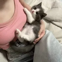 tool-01 – Avatar fotka