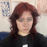 Gambar Profil Flareix