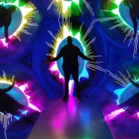 lawndec's Profile Pic