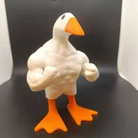 SrPatoDonald's Profile Pic