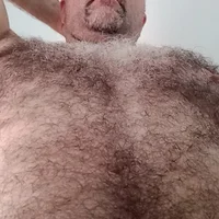 Профилна снимка на bear566