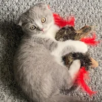 onlyme_again's Avatar Pic