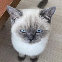 Dreeko-21's Profile Pic