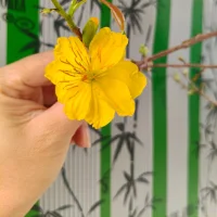 Lan_2an Profilový obrázek