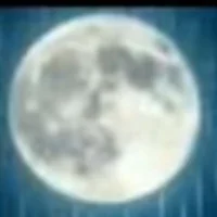 Erotxx's Avatar Photo