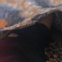 elflacojunniors profilbillede