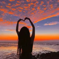 GoadedPolistes's Profile Pic