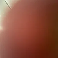 sydgalssss's Profile Pic