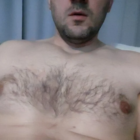 defaktor profile photo