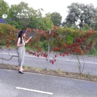 Deepika5567 profiképe