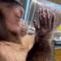 Nikohd269: εικόνα άβαταρ