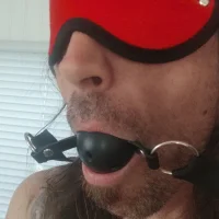 Hamsterdobbs Profilový obrázek