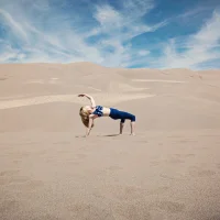 yogacamgirl Profilový obrázek