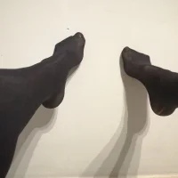 Foto de perfil de ALVARROO666