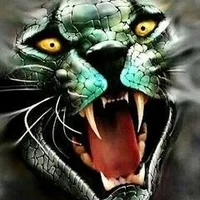airwolf76's Profile Pic
