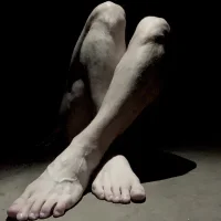 shyhuskyguy Poză avatar