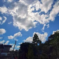 Superhotman99's Profile Pic