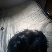 insecure46's Profile Pic