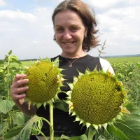 KimmyAghora's Avatar Pic