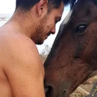 Аватар AM_Lamaquina91