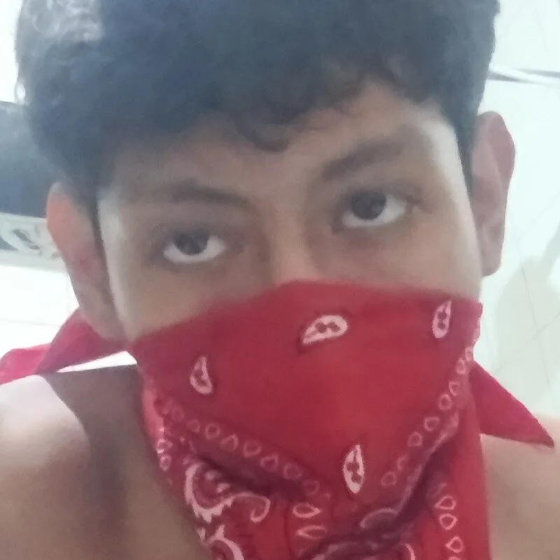 ElchicoX01 profile photo