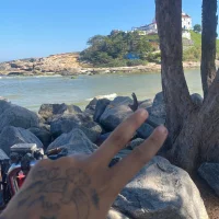 novinho57_s profilbillede