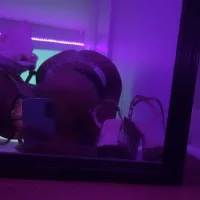 VelvetVixenXO's Profile Pic