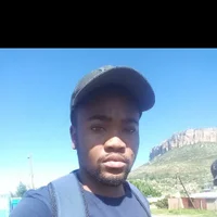 Hivebee's Profile Pic