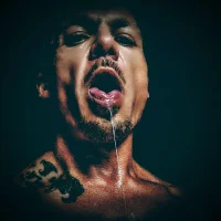 TheTree13's Avatar Photo