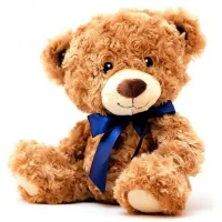 Image d’avatar de TEDDY3139