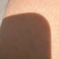 georgie1geoのアバター写真