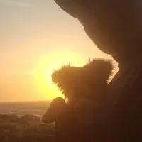 Ds50dias 的个人资料图片