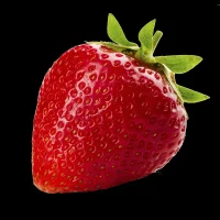 Lucy_Lees Profilfoto