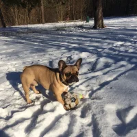 Foto do avatar de nbachilles