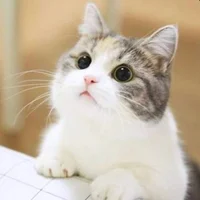 Xiangmouren's Avatar Pic